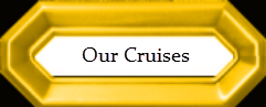 Cruises